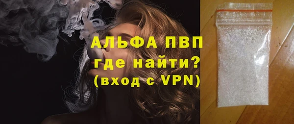 стаф Бородино