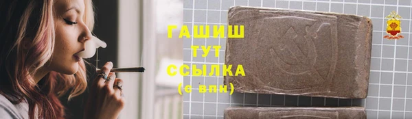 стаф Бородино
