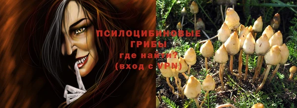 дурь Бронницы