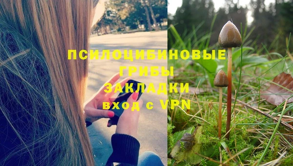 трава Бугульма