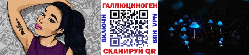 Купить закладки  Усть-Катав  Псилоцибиновые грибы Psilocybe 